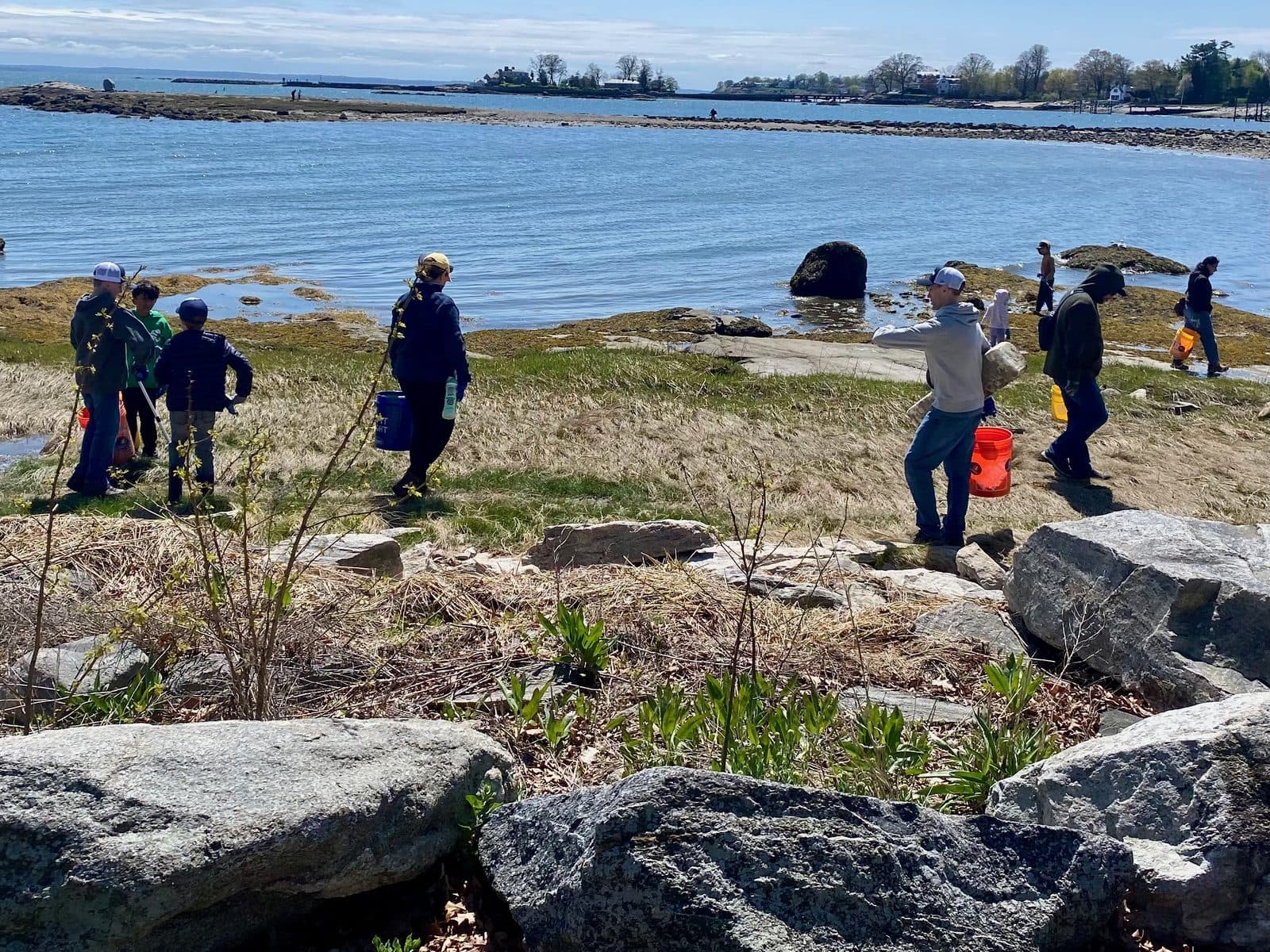 Scouts spread out along the Cove Island shoreline on a spring cleanup